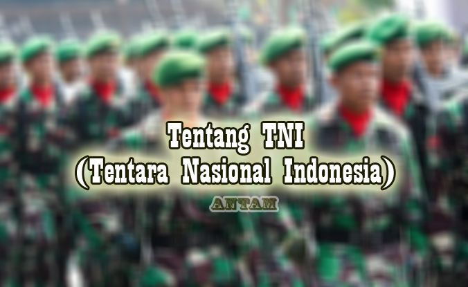Tentang-TNI-Tentara-Nasional-Indonesia