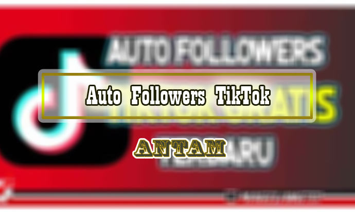 Auto-Followers-TikTok