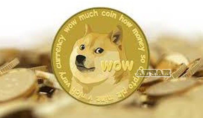 Dogecoin-DOGE-Meme-Coin-Terbarik
