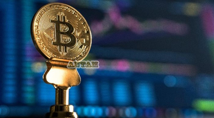 Koin-Crypto-Terbaik-Bitcoin