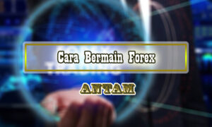 Cara-Bermain-Forex
