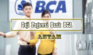 Gaji Pegawai Bank BCA dalam Semua Posisi Terbaru Jurusan SMK/SMA