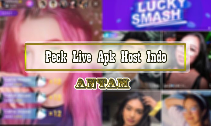 Peck-Live-Apk-Host-Indo