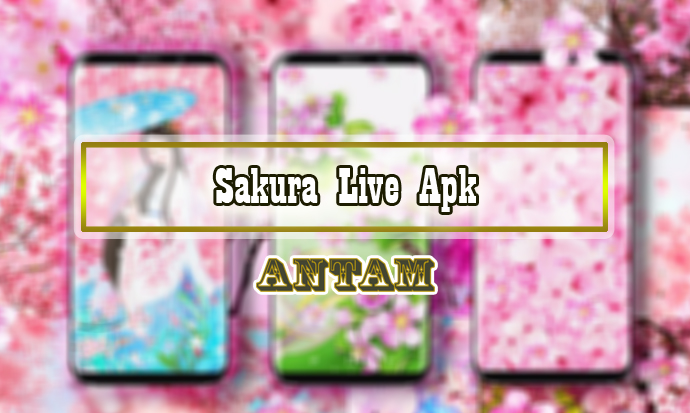 Sakura-Live-Apk